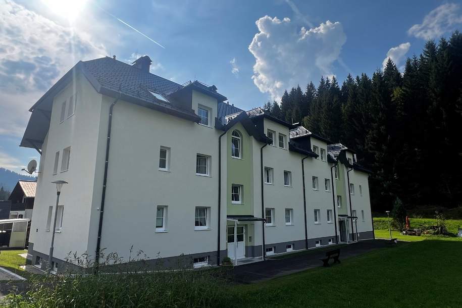 Lackenhof, 3 Zimmer, 78 m² / 01580 00114, Wohnung-miete, 560,79,€, 3292 Scheibbs