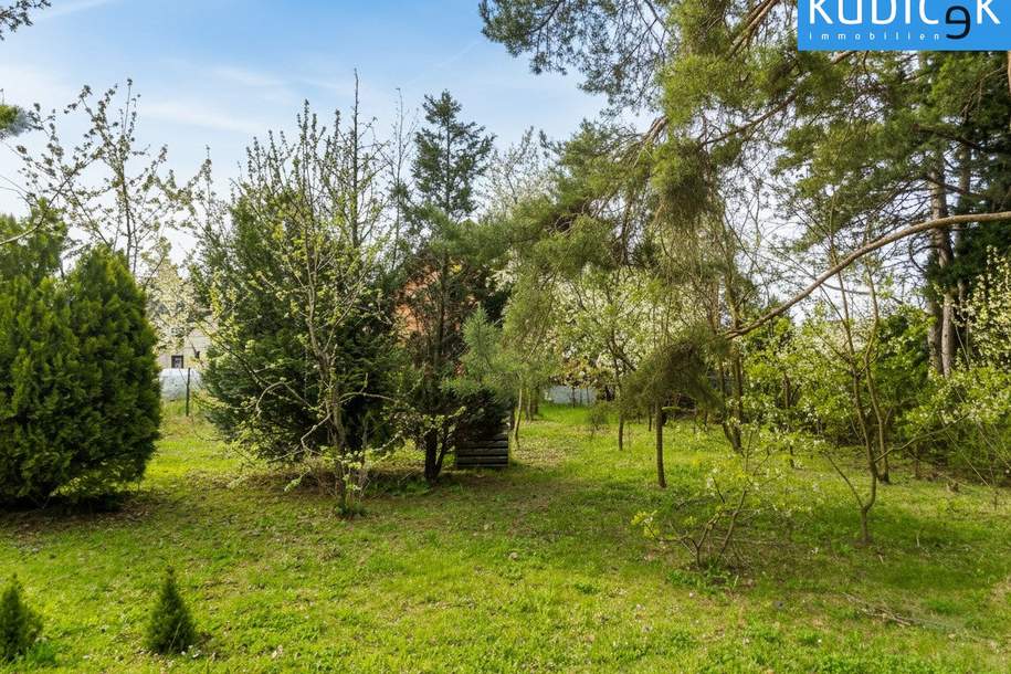 Aufgeschlossener Baugrund mit Altbestand Nähe S-Bahn Silberwald, Grund und Boden-kauf, 450.000,€, 2231 Gänserndorf