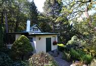 Baugrundstück im Augustinerwald - Naturidylle mit Hanglage