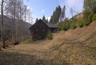 Zwei sanierungsbedürftige Häuser in absoluter Ruhe/Alleinlage