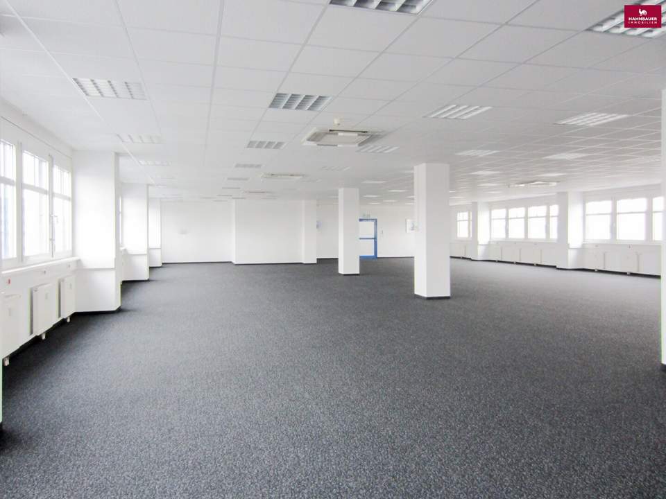 Büro 350 m2 südlich von Wien in Wr. Neudorf