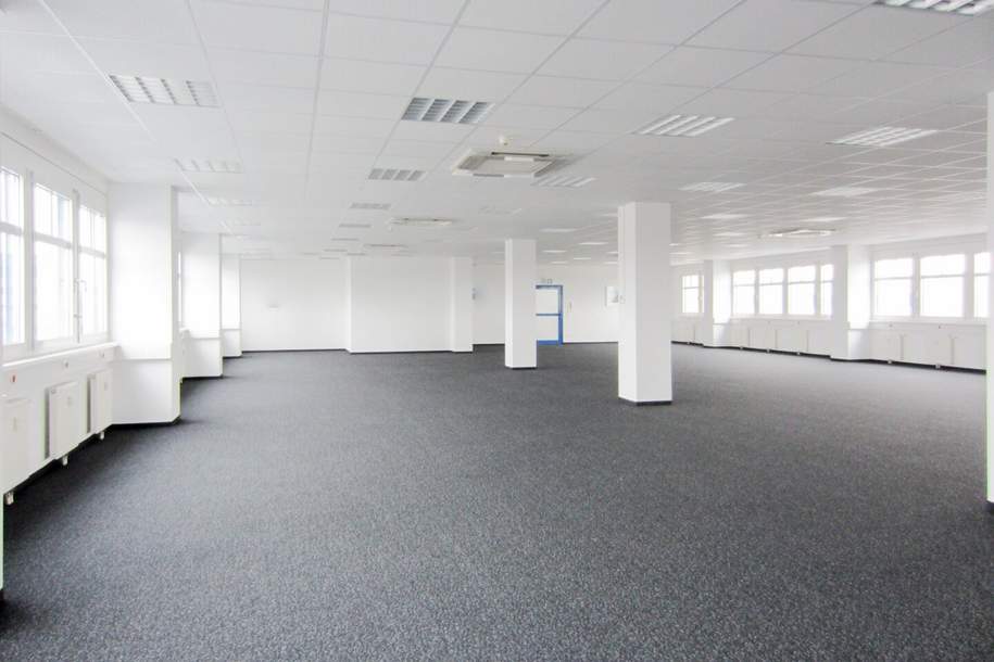 Büro 350 m2 südlich von Wien in Wr. Neudorf, Gewerbeobjekt-miete, 5.590,00,€, 2351 Mödling