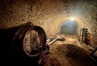 Leben, Wohnen, Reiten – Ihr eigenes Paradies im Weinviertel!