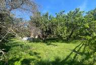 Baugrund in gefragter Lage sucht neuen Eigentümer – Ihre Chance noch vor Frühlingsbeginn!