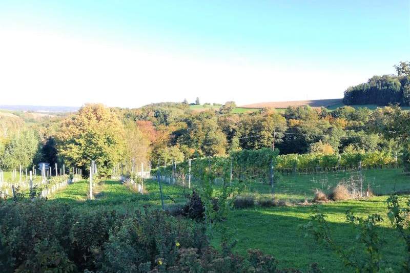 Gepflegtes Einfamilienhaus (142m²) in ruhiger Lage mit Weitblick in Bad Loipersdorf! Provisionsfrei!, Haus-kauf, 460.000,€, 8282 Hartberg-Fürstenfeld