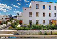 Erstbezug : Neubau : 2-Zimmer-Wohnung : Terrasse