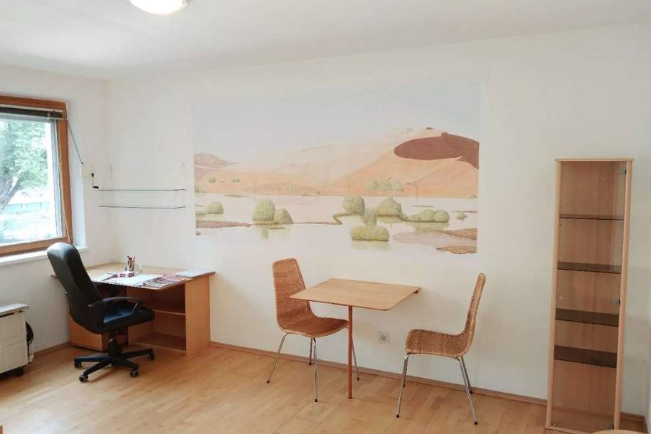 Hübsche leistbare kleine Wohnung für Single oder Pärchen, Wohnung-kauf, 99.000,€, 2384 Mödling
