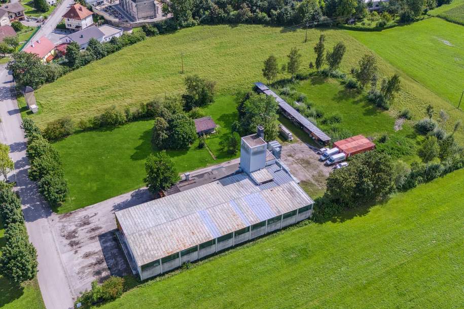 Betriebsliegenschaft in Grenznähe mit vielen Möglichkeiten, Gewerbeobjekt-kauf, 1.190.000,€, 4983 Ried im Innkreis