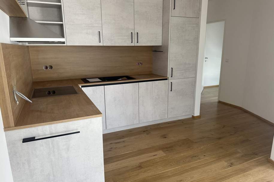 Moderne Miewohnung mit Terrasse und Bergblick, Wohnung-miete, 1.222,00,€, 4812 Gmunden