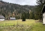 BAURECHT - WOHNHAUS IN DEN WILDALPEN