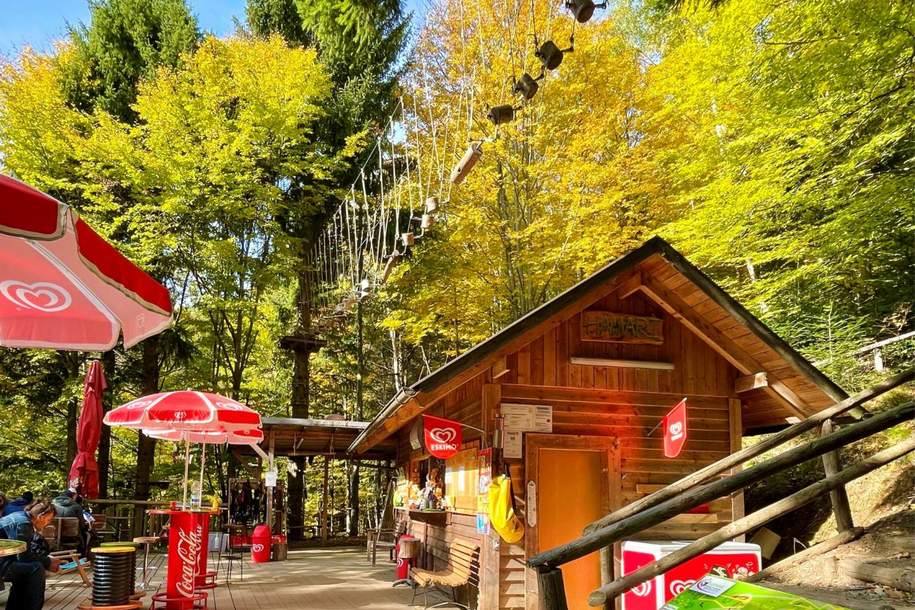 Kletterpark im Tourismus-Hotspot Mönichkirchen zu verkaufen – für aktive Unternehmer*innen oder für jene, die eine neue Herausforderung suchen!, Gewerbeobjekt-kauf, 285.000,€, 2872 Neunkirchen