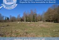 Zum Ausbau freigegeben: altes Bauernhaus + riesiges Grundstück!