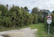 Natur pur