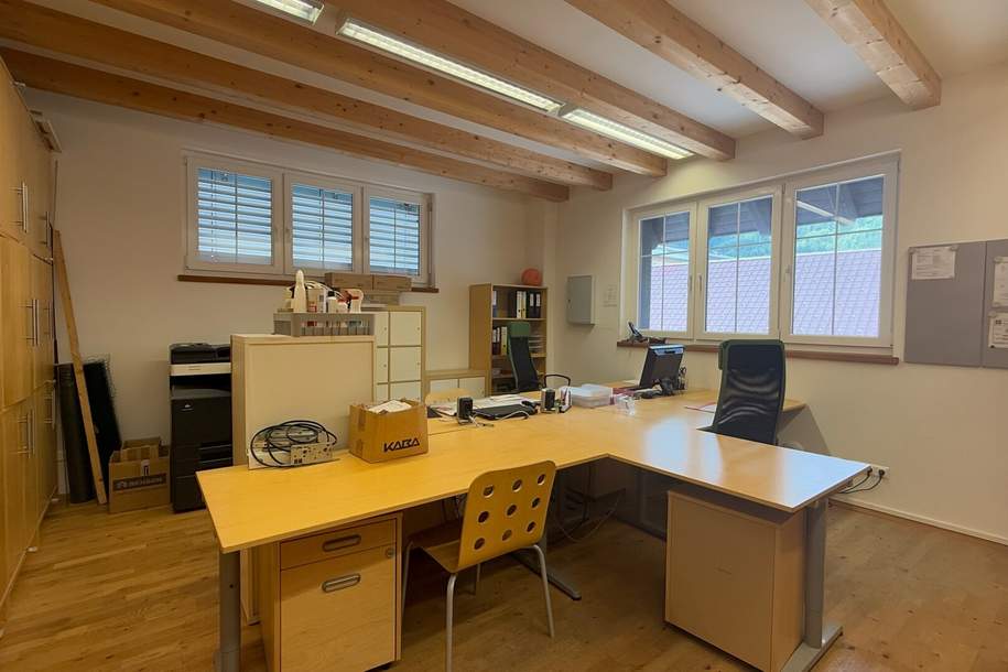 Bodensdorf am Ossiacher See: Büro mit XL-Lagerflächen, XL-Carport & 2 PKW Stellplätzen, SPA & SAUNA, Wohnung-kauf, 150.000,€, 9551 Feldkirchen