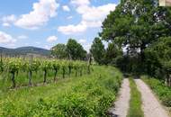 Perfektes Anlageobjekt mit Möglichkeit zur Eigennutzung in den Weinbergen von Sooß