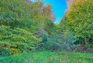 Wohnen im Günen: Haus mit großzügigen Grundstück in Bad Blumau