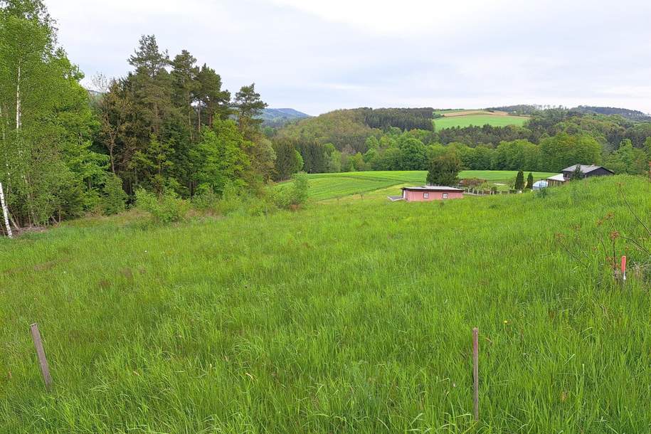Holzschlag: Baugrundstück mit kleinem Wald in Traumlage!, Grund und Boden-kauf, 99.000,€, 7435 Oberwart