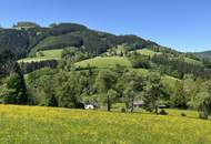 Green green grass of home - sonnige, einzigartige Lage im Grünen - einfach ein Grünoase!