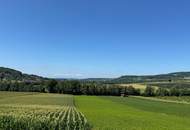 Aussicht: unglaublich - Lage: perfekt - Wohnfläche erweiterbar