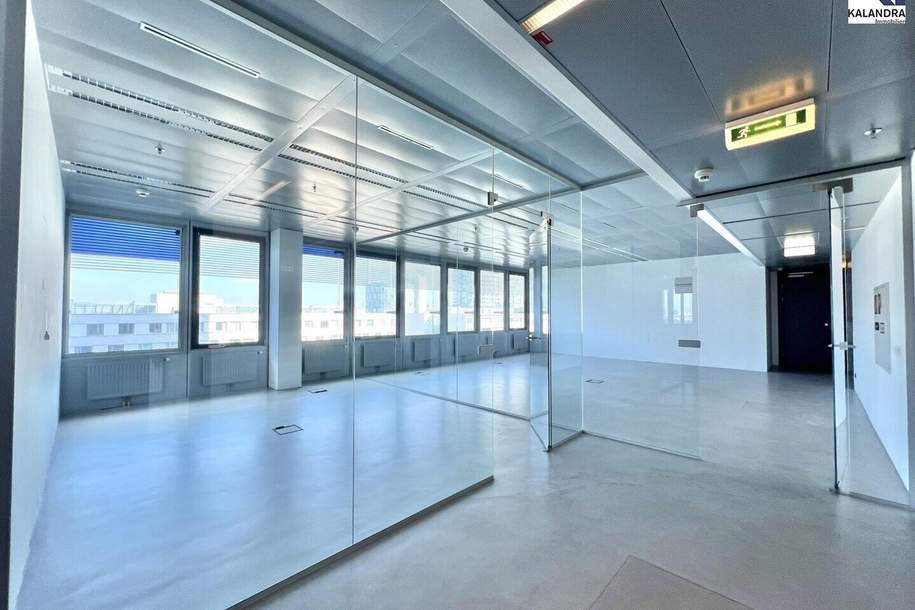 360 TOUR // BÜROFLÄCHE im ARES TOWER, Gewerbeobjekt-miete, 29.080,46,€, 1220 Wien 22., Donaustadt