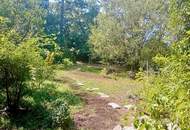 Natur pur , tolles Haus