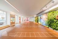 Exklusive 5-Zimmer-Dachterrassenwohnung, Nähe Stephansplatz