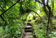 BAUGRUNDSTÜCK in Matzen