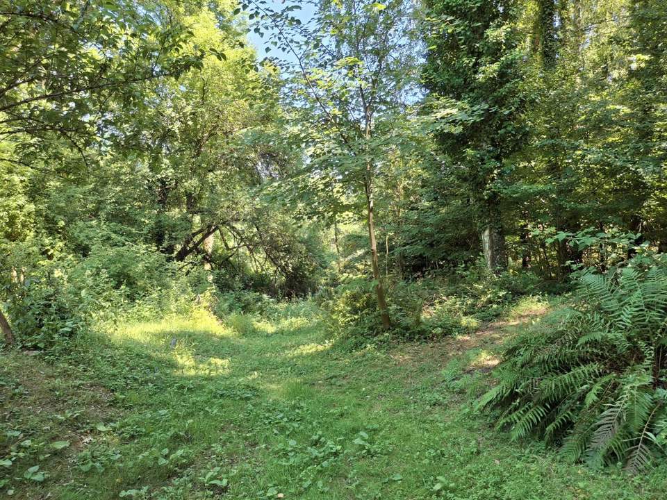 Grundstück für Freigeister in idyllischer Waldlage