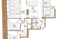 Blick zum Stephansdom!