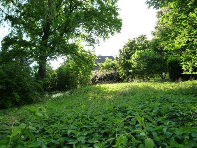 Baugrundstück ohne Bauzwang mit alten Baumbestand