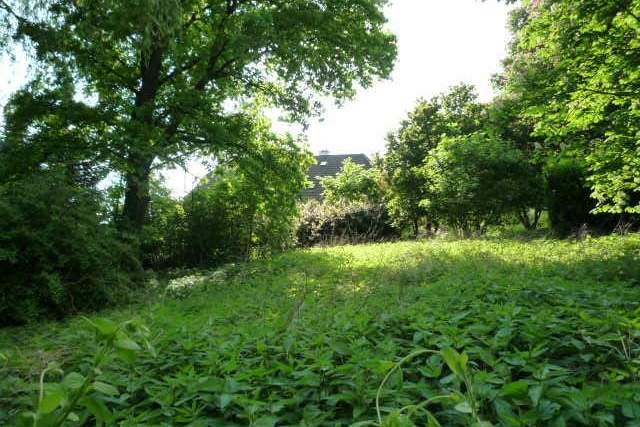 Baugrundstück ohne Bauzwang mit alten Baumbestand, Grund und Boden-kauf, 85.000,€, 4760 Schärding