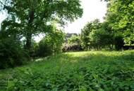 Baugrundstück ohne Bauzwang mit alten Baumbestand