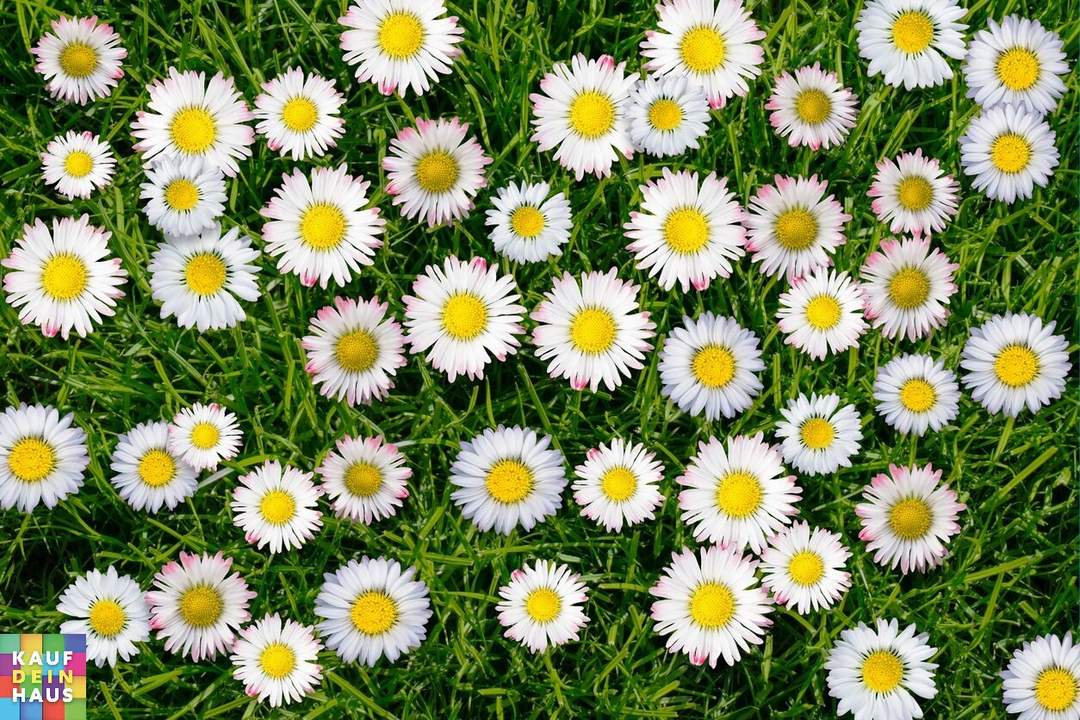 NÄHE STEINER TOR - STADTGRABEN 7A!