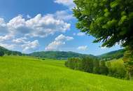Atemberaubend schöne Landschaft - Südlage - ebener Baugrund 1569qm plus 548qm Grünland insgesamt 2.117qm - kein Bauzwang !!! Nähe Alland nur 20 Minuten nach Wien!!!