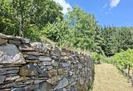 Freizeitgrundstück - Weingarten mit Gartenhütte
