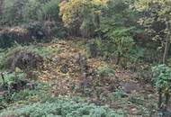 Großes Grundstück mit Entwicklungspotenzial in Krems an der Donau!