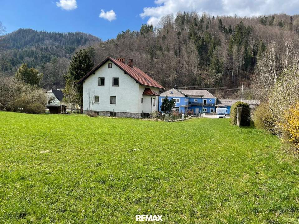 Baugrund in 3335 Weyer – 1.981 m² Grundstück
