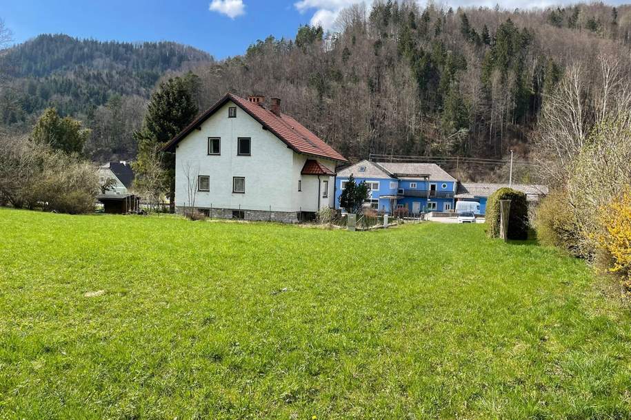 Baugrund in 3335 Weyer – 1.981 m² Grundstück, Grund und Boden-kauf, 150.000,€, 3335 Steyr-Land
