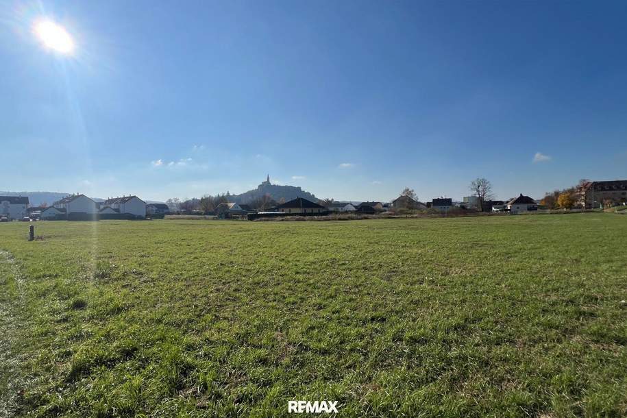 Großes Baugrundstück (ca. 1 ha) in Güssinger Ortsrandlage!, Grund und Boden-kauf, 570.000,€, 7540 Güssing
