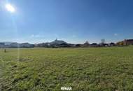 Großes Baugrundstück (ca. 1 ha) in Güssinger Ortsrandlage!