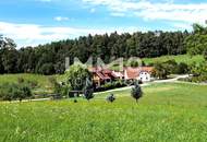 Pferdeliebhaber aufgepasst! Herrliche Landwirtschaft in Eggersdorf bei Graz