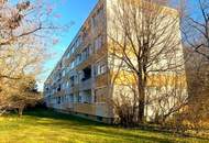 "Tolle 3 Zimmer-Wohnung, 88m² + Loggia in der Südstadt