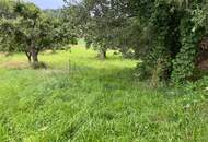 Landliebe trifft Raum zur Entfaltung: Ehemaliges Gasthaus auf 6.252 m2 Grund