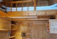 Entzückendes Haus mit Naturbadeteich, Sauna, Jacuzzi in ruhiger idylischer Lage am Güssinger Hügelland mit Traumaussicht