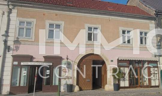 WOHN-UND GESCHÄFTSHAUS AUS DEM 16. JAHRHUNDERT IM HERZEN VON LANGENLOIS 100 m Kellerröhre, Nebengebäude, Innenhof, Geschäftslokale, usw.