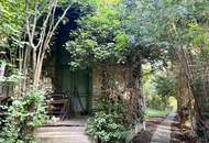Einfamilienhaus mit historischem Hintergrund und optionalem Erweiterungspotenzial im Martinsviertel Klosterneuburg- Wohnen mit unverbaubarem Panorama-Fernblick