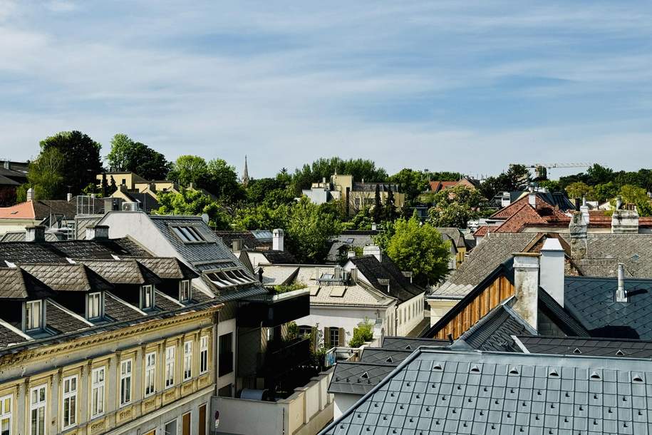 Penthouse mit gigantischer Terrasse, Wohnung-kauf, 2.175.000,€, 1190 Wien 19., Döbling