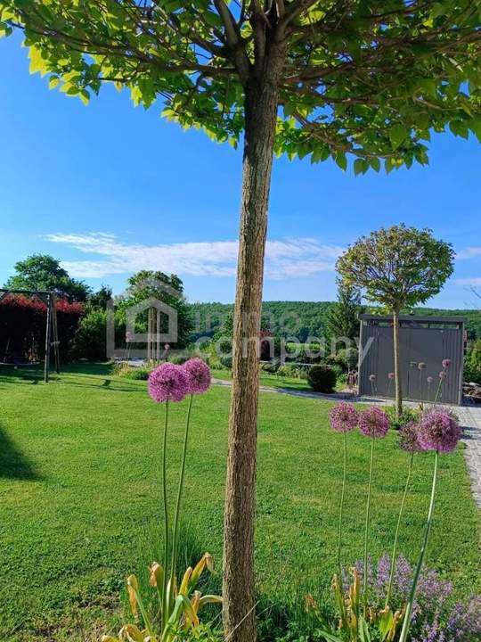2393 Sparbach BAUGRUND nahe Wien und doch mitten in der Natur