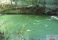 Leistbarer Wald in Feldkirchen/Donau zu verkaufen!