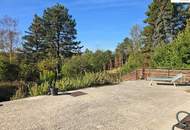 Exklusive Liegenschaft in begehrter Villenlage von Bad Fischau mit 1601m² Grundstück